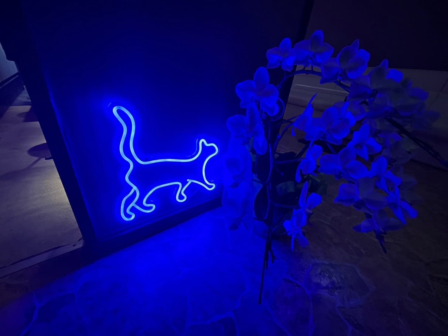 スナックTamaの店内写真 2