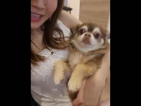ママ