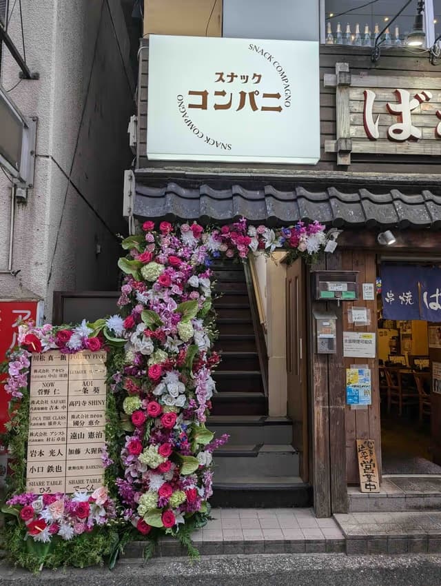 Image 12
